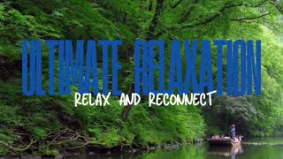 [Relaxation Playlist] music for stress relief and healing | meditation | sleep