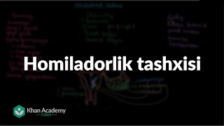 Homiladorlik tashxisi |  Homiladorlik va homiladorlik asoratlari | Tibbiyot