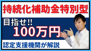 【MAX100万円】小規模持続化補助金低感染リスク型ビジネス枠公募開始！～認定支援機関が徹底解説～