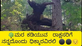 ಮನೆಗೊಂದು ಮರ ಇರಲಿ 🌳🌲| Let there be a tree in front of the house🌳🌲