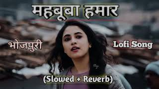 Mehbooba Hamar Lofi Song !! Bhojpuri Trending Song (slowed+reverb)🥰| @NeelkamalSinghOfficial