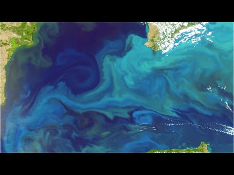 How has satellite technology helped the study of oceanography?