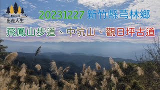 20231227新竹縣芎林鄉，飛鳳山步道、中坑山、觀日坪古道