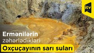 Ermənilərin zəhərlədikləri Oxçuçayının sarı suları və tələf olmuş balıqlar