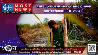 MOST NEWS ครม. อนุมัติเงินช่วยเหลือเกษตรกรชาวไร่อ้อย คาดจ่ายเงินภายใน มิ.ย. 2564 นี้