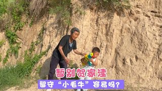 暂别贺家洼 留守“小毛牛”容易吗？【贺永贤】