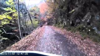 兵庫県　紅葉時期の赤西渓谷林道　KLX125走行動画