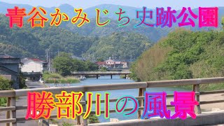 ゴールデンシーズン 5月17日 金曜 晴れ 5月の風 青谷かみじち史跡公園  勝部川の風景 日本 鳥取県鳥取市青谷町井手 井出ヶ浜駐車場 @WalkingYoshi