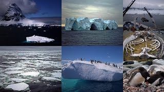 1. ΑΝΤΑΡΚΤΙΚΗ - ANTARCTICA: Diego Ramirez, Paradice Bay, Deception Island, Arctowksi, Videla