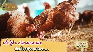 EP.13 เปลี่ยนแกลบใหม่ให้น้องไก่ด่วน....เพิ่งรู้ว่าต้องโรยปูนขาวก่อน  #ไข่ไก่อารมณ์ดี #เลี้ยงไก่ไข่