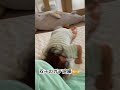 同じのを用意しても結局喧嘩する双子 赤ちゃん 赤ちゃんのいる生活 双子のいる生活 双子 日常 かわいい baby