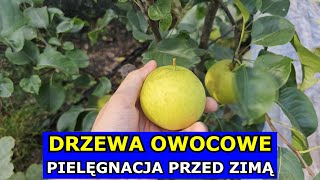 Drzewa Owocowe PRZED ZIMĄ. Czy Okrywać Młode Drzewka Owocowe, Kopczykowanie, Podlewanie, Pielęgnacja