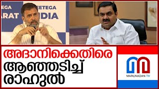 ഇന്ത്യയുടെ പ്രതിച്ഛായ മോശമാക്കിയെന്നും രാഹുൽ ഗാന്ധി  I  adani - rahul gandhi