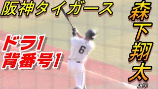 阪神タイガース　ドラ1　背番号1　森下翔太選手　中央大の打撃まとめ