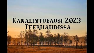 Kanalintukausi 2023 | Teerijahdissa