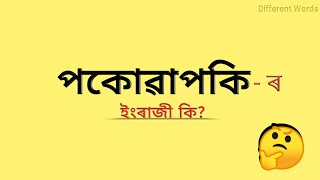 পকোৱাপকি - ৰ ইংৰাজী কি? || পকোৱাপকি মানে কি? || Assamese to English vocabulary || words meaning