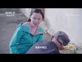 《我的美丽乡村》 20210907 轻户外运动小镇 五家疃 农业致富经 agriculture and farming