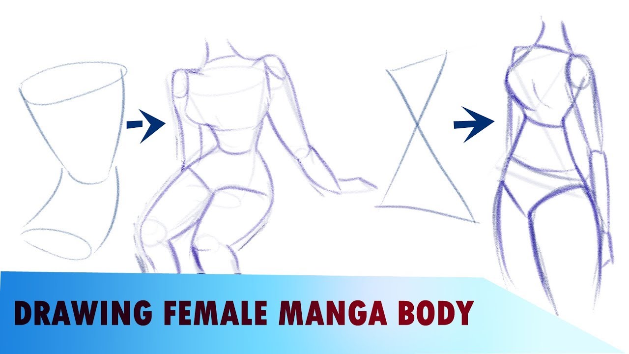 Anime Anatomy Anime Female Body Drawing