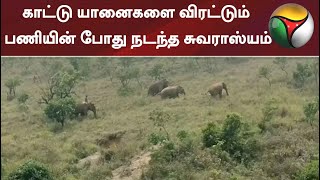 காட்டு யானைகளை விரட்டும் பணியின் போது நடந்த சுவராஸ்யம் | Elephant