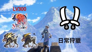 【MHRS】傀異探究:紅蓮爆鱗龍 +激昂金獅子+金獅子 LV300 日常狩獵 雙刀