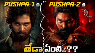 Difference Between Pushpa-1 and Pushpa-2 | Allu Arjun | Sukumar | Rashmika Mandanna | News3People