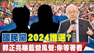 國民黨2024誰選? 郭正亮曝藍營風聲:你等著看｜郭台銘等特權回黨? 藍營恐重演\