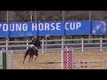 2019 young horse cup 제6경기5번 전상용