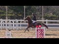 2019 young horse cup 제6경기5번 전상용