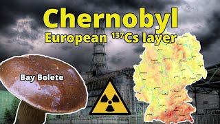 The radioactive mushrooms in Europe - nuclear chemistry