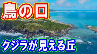 ドローン空撮 鳥の口 クジラが見える丘 @ 久米島 沖縄 4K 60p - Torinokuchi Rock @ Okinawa