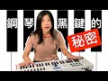 黑鍵的秘密：大調音調的黑鍵順序（鋼琴教學）The Secret to Learning Black Keys on the Piano