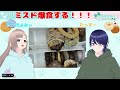 【第２回ミスド爆食の会】たっすーと共に爆食します！！何個食べられるかな？？ ミスド ＃六条太助 爆食 そよかぜみらい