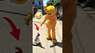 Teddy🧸 Vs Hen 🐓🤣💥……#funnyshorts #comedy #mrcrazy