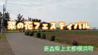 菜の花フェスティバル 2022/5/12 青森県上北郡横浜町