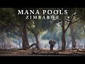 Africa's Eden: Mana Pools National Park