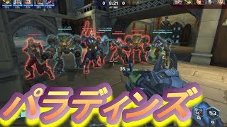 PALADINS【パラディンズ】switch版