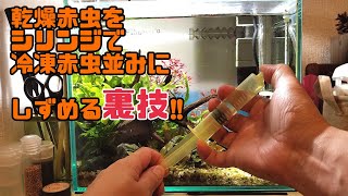 【アクアリウム】餌の乾燥赤虫の裏技的な与え方を紹介致します！！