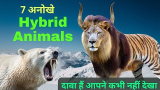 कल्पना से परे: पृथ्वी पर 7 सबसे आकर्षक हाइब्रिड जानवरों की खोज | 7 Most Fascinating Hybrid Animals