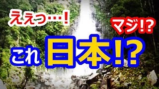 【海外の反応】衝撃！異世界のような日本の神社に世界が驚愕！外国人「とんでもない場所だ！」「仰天したよ！日本はすごい…」