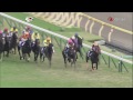 2014 秋季天皇賞 tenno sho autumn 史匹堡 spielberg スピルバーグ