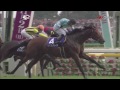 2014 秋季天皇賞 tenno sho autumn 史匹堡 spielberg スピルバーグ