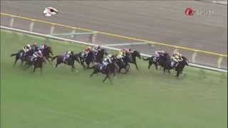 2014 秋季天皇賞 Tenno Sho Autumn 史匹堡 Spielberg スピルバーグ