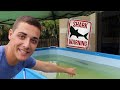 MY PET ALIEN TAMED JAWS THE POND MONSTER MY PET ALIEN TAMED JAWS THE POND MONSTER