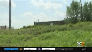 Union County Residents Frustrated By Overgrown Property Covering Old Rail Line