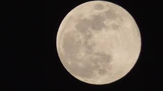 5月の満月は「 フラワームーン」 The full moon in May is \