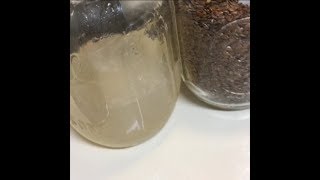 Easy Tutorial-How I make & preserve Flaxseed Gel