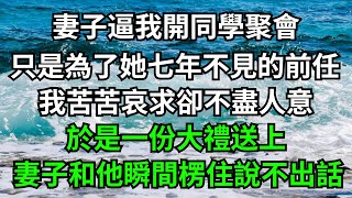 妻子逼我開同學聚會，只是為了她七年不見的前任，我苦苦哀求卻不盡人意，於是一份大禮送上，妻子和他瞬間楞住說不出話！【一濟說】#落日溫情#情感故事#花開富貴#深夜淺讀#深夜淺談#家庭矛盾#爽文