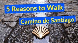 5 Reasons to Walk Camino de Santiago: And 1 Reason You Shouldn't