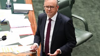 ‘Tone deaf’: Albanese government does not understand Australian people