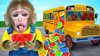 Monkey BuBu Drives the Trouble School Bus and  Taste ASMR Rainbow Fruit Jelly -  MONO BUBU ESP